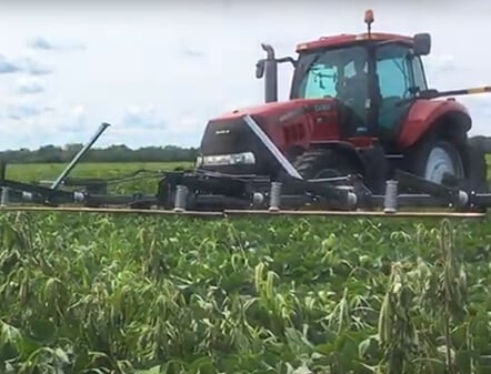 Weed Control Demo